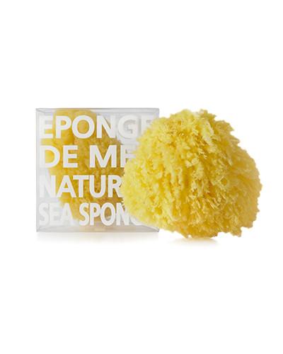 Natural Sea Sponge